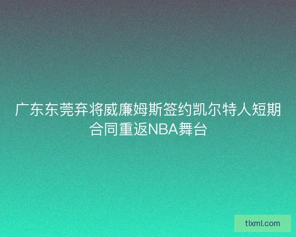 广东东莞弃将威廉姆斯签约凯尔特人短期合同重返NBA舞台